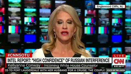 Kellyanne Conway denies Wikileaks matters-v5anOYWOPEg