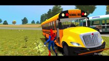 Wheels On the Bus Nursery Rhymes & Spiderman Mickey Mouse Hulk Children Songs