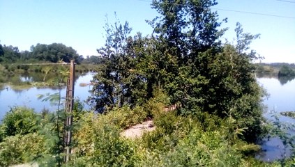 CONOCIENDO EL SANTUARIO DE LA NATURALEZA (VALDIVIA)