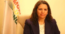 HDP'li Milletvekiline 'Cumhurbaşkanına Hakaret'ten 4 Yıla Kadar Hapis İstemi