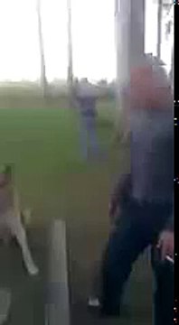 ЧУВАААК!!! Дай Пять!