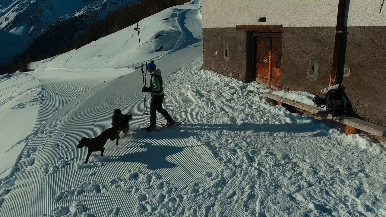 BeeGees et raquettes