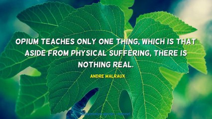 Andre Malraux Quotes