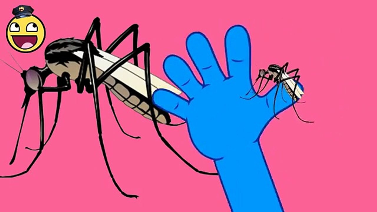 Childrens | Finger Family Mosquito | Songs Nursery Rhymes