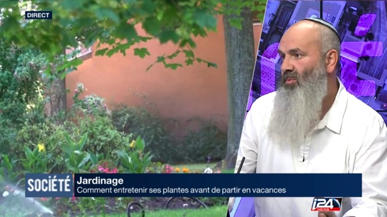Jardin: comment entretenir ses plantes avant de partir en vacances