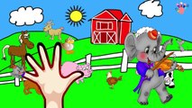 Elephant Finger Family Nursery clhildren rhymes | Finger family songs kids rhymes