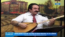 yarım kalmış bestesin şiir-yorum nevin kılıç ve samet boğa