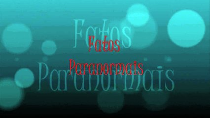 Cães E Gatos Nossos Protetores#16