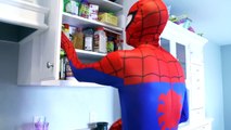 siêu nhân nhện và nữ hoàng băng giá | Bác sỹ spiderman tiêm cho bà bầu