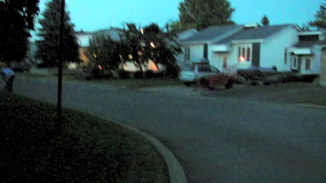 Grisou le chat-chien-d7sBRl_R6V4