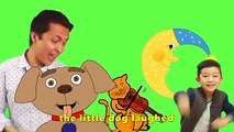 Hey Diddle Diddle | Babies and Kids Channel | Nursery Rhymes for children and toddlers