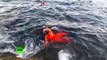 Italian Coast Guard rescues beaked whales who came dangerously close to shore-t4RAaRZcqlM