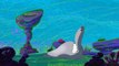 Zig & Sharko - Disasters Clips #04 _ HD