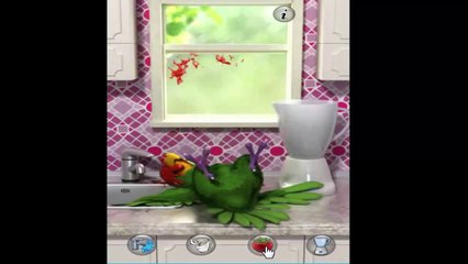 Talking Pierre parrot game