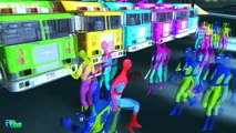 Learn Colors with FIRE TRUCK & Vehicles for kids COLORS TRUCKS & Transport Spiderman Nursery Rhymes