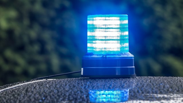 Terrorismus: Möglicher Komplize des Wiener Terrorverdächtigen gefasst