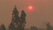 Más de 4.000 personas evacuadas en Chile por los incendios forestales