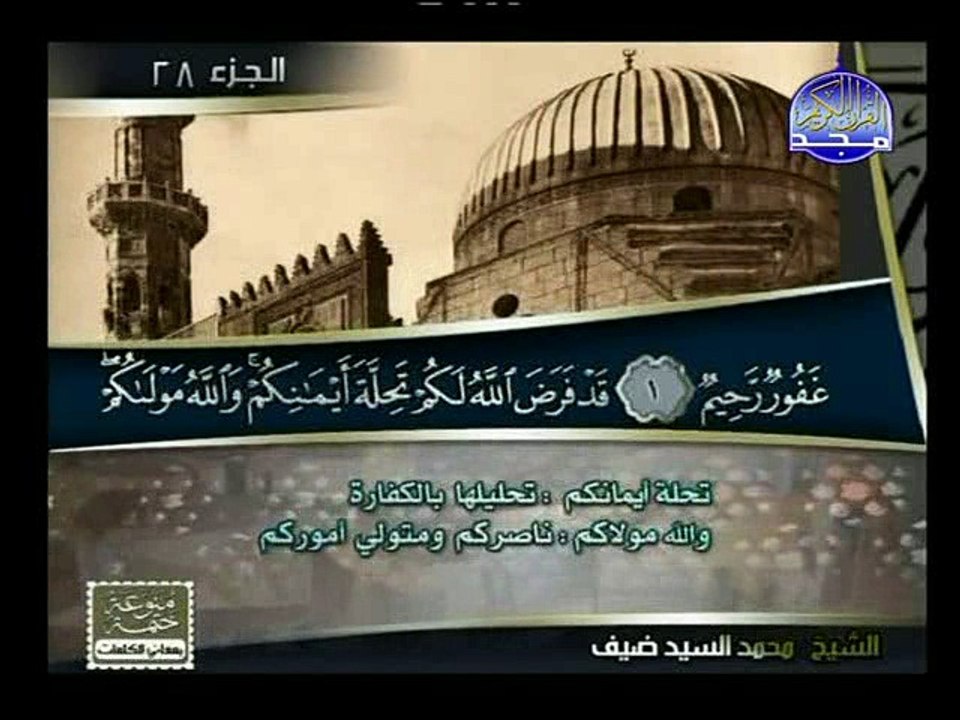 سورة التحريم مع التفسير - السيد ضيف