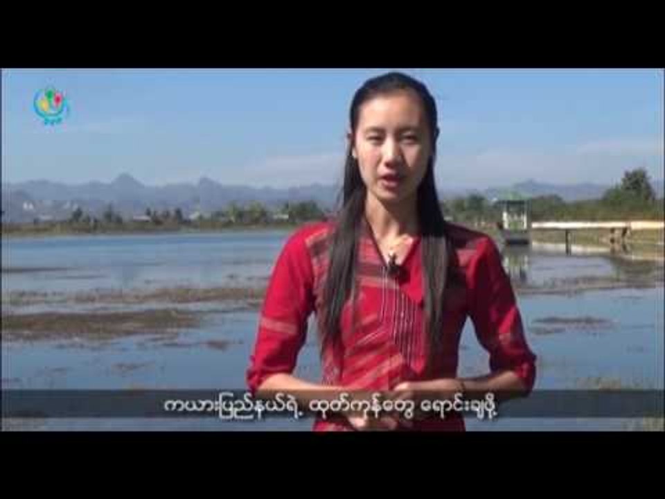 DVB TV - တုိင္းရင္းသားဘာသာ သတင္းအစီအစဥ္(ကရင္နီ)