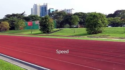 SkyProwler takes off like a helicopter and flies like a plane