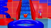 WATER SLIDE 3D for Kids | SLIDE Pool Fun Learn Colours Balls Egg Surprise Toys Colors for Children
