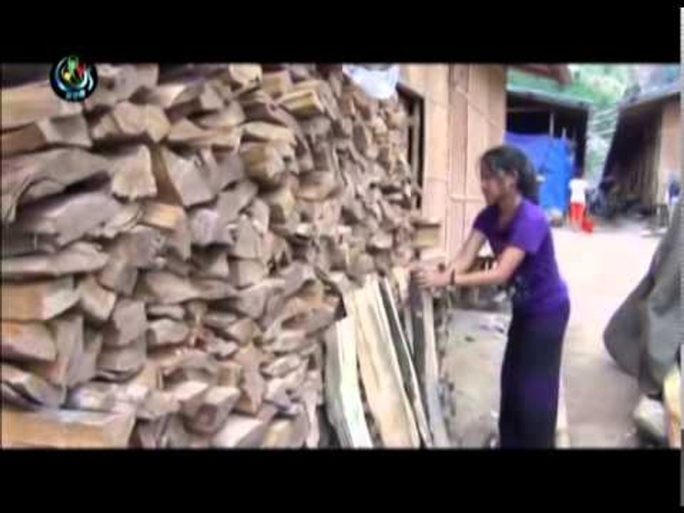 DVB -10-06-2014 Ethnic Perspectives