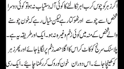 Sanake !! Sanp Bar Bar Zuban Kun Nikalta Hai in Urdu سانپ کا بار بار زبان نکلنا