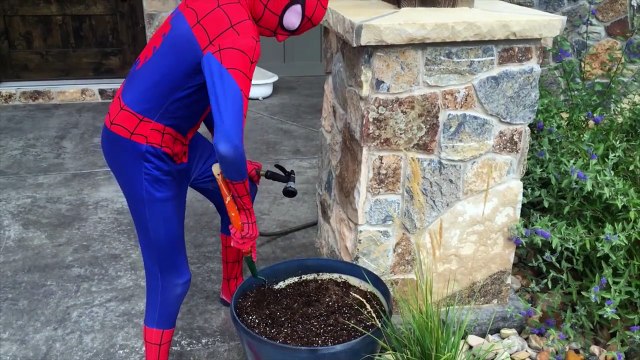 Плохая девочка Виктория грязный игрушка номер не Анабель игрушка уроды семейные скрыты яйцо в 4K