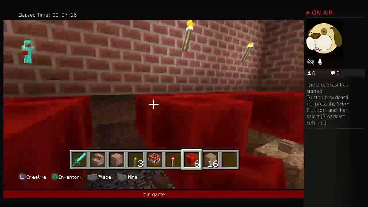Minecraft (6)