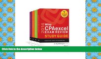 Read Book Wiley CPA excel Exam Review 2014 Study Guide, Set O. Ray Whittington  For Free