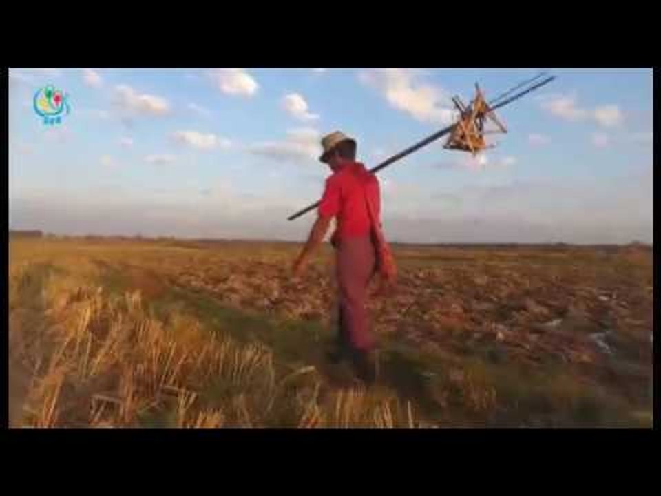 DVB TV - လက္ပံတန္းျမိဳ႕မွာ မုဆုိး တစ္ေယာက္အေၾကာင္း