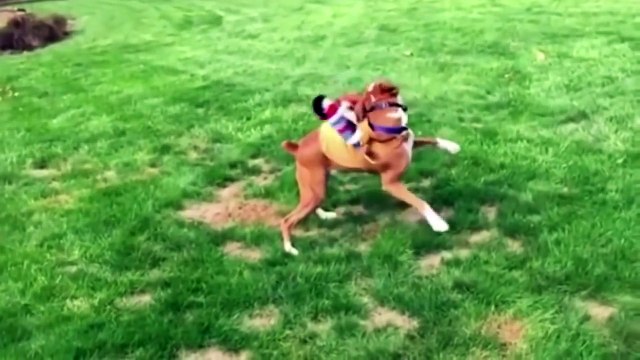 ДЕТЯМ НЕ СМОТРЕТЬ ТОЛЬКО ДЛЯ ВЗРОСЛЫХ ПРИКОЛы Try not to laugh Funniest Fails №184