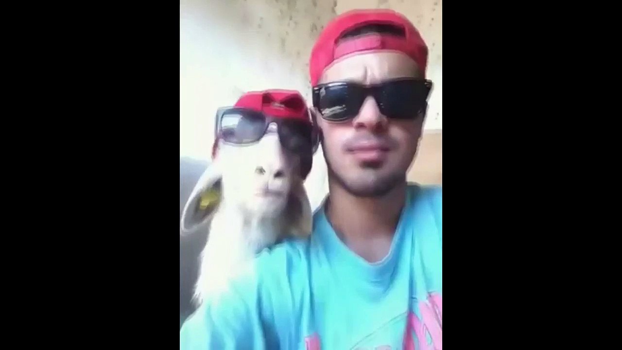 Incearca sa nu razi ! / Reactioneaza!
