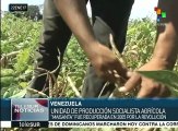 Revolución Bolivariana produce toneladas de alimentos para venezolanos