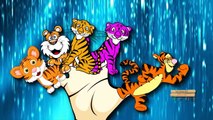 Finger Family Nursery Rhymes Tiger Zebra Cartoon | Lion Finger Family Rhymes For Children