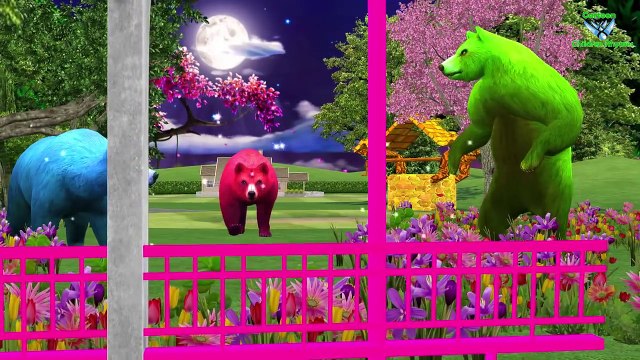 Finger Family Children Nursery Rhymes Dog and Cats Cartoons | Finger Family Rhymes For Kids