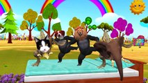 Animals Finger Family Nursery Rhymes Songs | Colors Lion Elephant Rhino Finger Family Songs