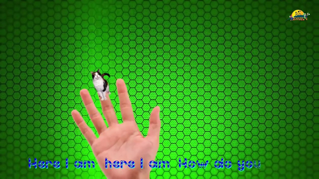 гоночный мотоцикл кошка палец семья nursery английский 3D стишки | детям анимационные семья палец песни