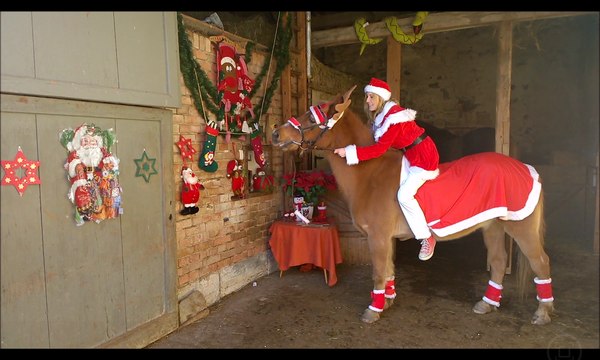 [horsegirlship 37] The two reindeers waiting for Santa Claus