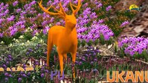 Learn colors lesson with Deer Nursery children learning colors with 3d Animation