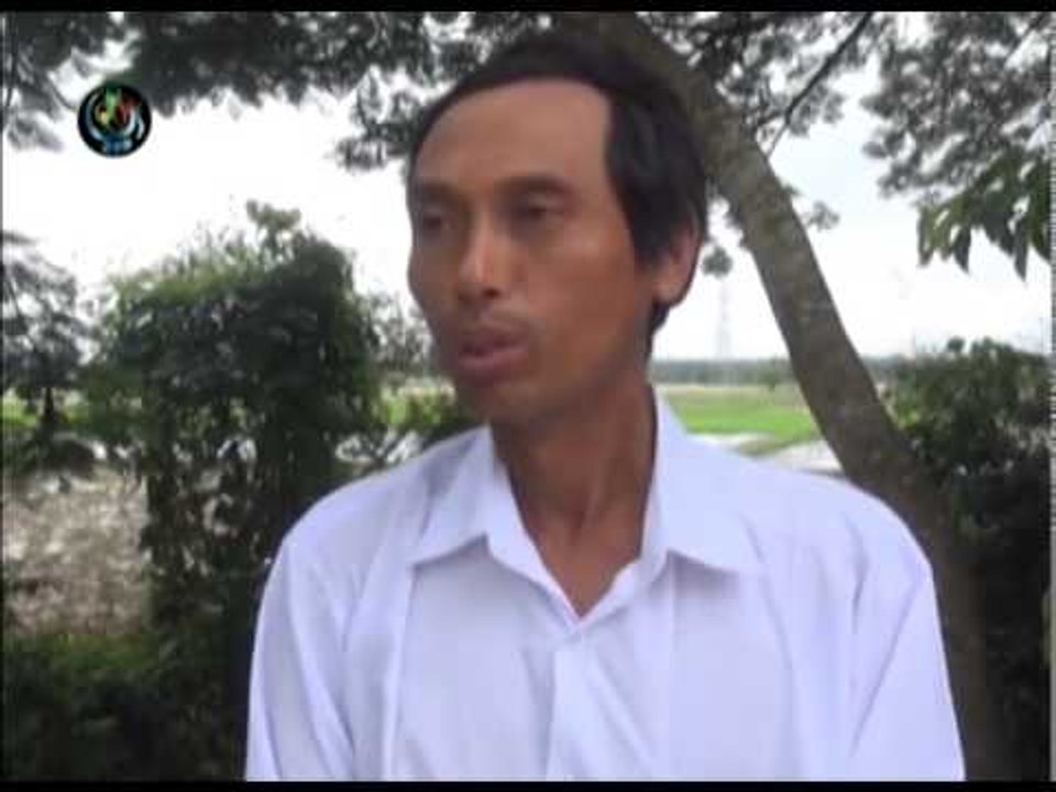 DVB - Voxpop 20142607
