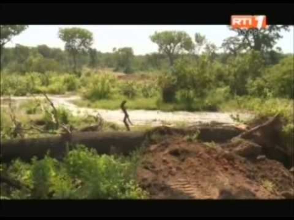 Demarrage des travaux de construction du barrage de Moulongo