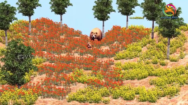 3d Animals Finger Family Nursery Children English Animated 3d Animals animated rhymes