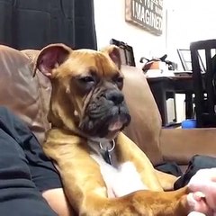 When your girl makes you watch a chick flick