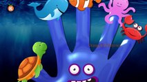 Sea Animal Finger Family Nursery Rhyme | Cartoon dolphin octopus Daddy Finger