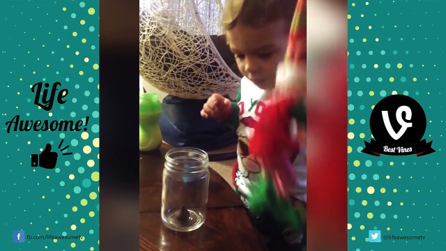 TRY NOT TO LAUGH or GRIN - Funny Animal Fails | 2016 Animal Compilation by Life Awesome