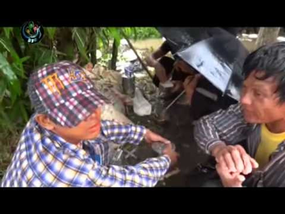 DVB 05.07.2012 - 4pm News