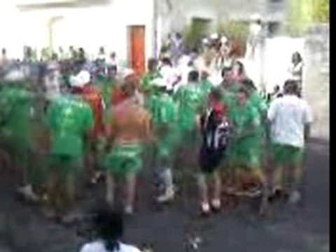 Les verts au concours de manade