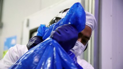 Move Over Acai. The Maqui Berry Craze Has Arrived