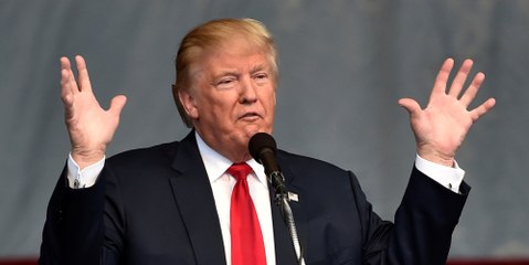 Top 10 Reasons President Trump Will Be A Great Success